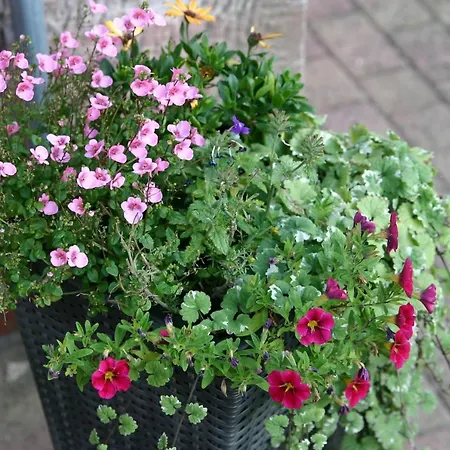 בית נופש Walter שמלקלדן