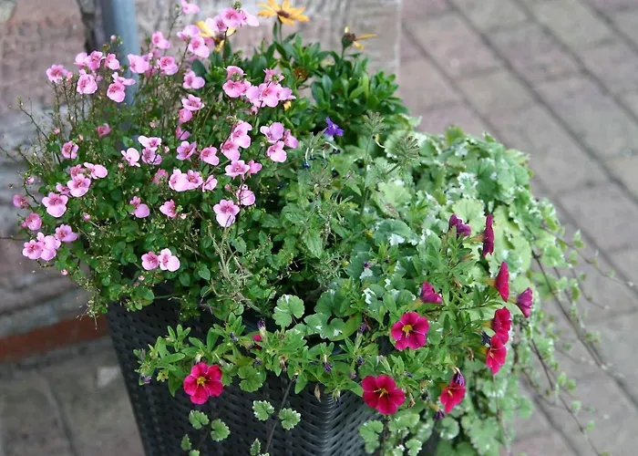 別荘 Walter シュマルカルデン